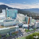 부산대학교병원 이미지