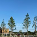 상신리 주차장 화장실 이미지