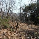 달성 가창의 척령산鶺鴒山(410.998m) - 오룩스와 산길샘 앱의 동시 측정. 스마트폰 gps의 위치 정확도 측정 이미지