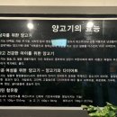 양가네양꼬치