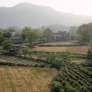 서울 근교 귀촌 지역 TOP 8, 양평, 가평, 춘천 시골살이 완벽 가이드