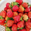 장등농장 이미지