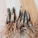 금순농장 이미지