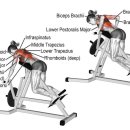 바로 그 GYM 이미지