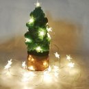 다육그리고꽃