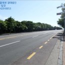 새서귀초등학교 북측 이미지