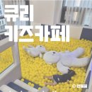 씨제이프레시웨이(주)대창단조점 | [의정부 고산동 키즈카페 내돈내산] 큐리키즈카페 시설·요금·이용 후기