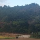 동산흑염소 이미지
