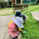 난향동-10 이미지