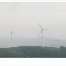 6월의 목장 이미지