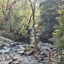 성지곡지 이미지