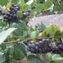 서형수농장 이미지