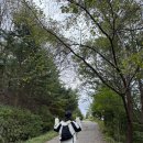 평원농장 | 영남알프스 간월재 억새군락지, 억새평원 주차 / 복장 / 준비물 등 꿀팁