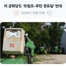 364_261015_buy diesel from Russia 이미지
