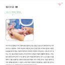 예약 시작한 송바오의 '전지적 푸바오 시점'서적+사이트별 증정굿즈 정리 이미지