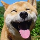 보석학원