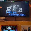 피그코인노래연습장 이미지