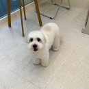 그루밍부스 이미지