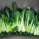 정주네농장 이미지