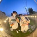 더멍멍컴퍼니 | 청주 애견유치원 / 더멍멍컴퍼니 애견카페 운영 종료 전 마지막 방문 후기