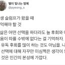 엄마사랑김밥 이미지