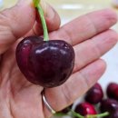 덕화농장 이미지