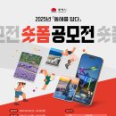 동해 동해시-20 MBC강원영동