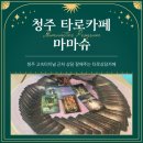 카페슈 | [청주 가경동] 타로 카페 마마슈 방문 후기