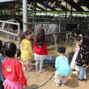 한얼목장 이미지