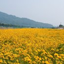 화산천 이미지