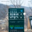 사람과나무 | 2026 유한킴벌리 나무심기 후기, 임신 준비 신혼부부 경쟁률 24:1 뚫고 당첨!