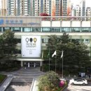 강남-243 이미지