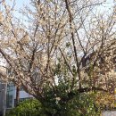 연촌초등학교 이미지