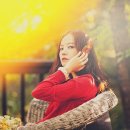 그라퍼 이미지