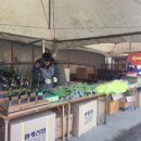설빙축제 이미지