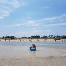 하도바다 이미지