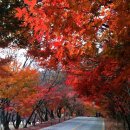 청정한우마을 네이버블로그