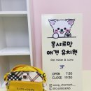 몽샤르망 애견유치원 이미지