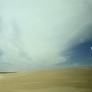 시드니동물병원 | 호주시드니 4박6일 자유여행 DAY3 포트스테판투어