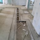 건지초등학교 이미지