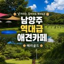 메리골드 | [남양주 애견카페] 역대급 넓었던 ‘메리골드’ 내돈내산 후기 (천연잔디 운동장·수영장·추천메뉴)