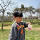 시냇가 푸른나무 유치원 이미지