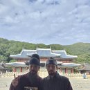 탁이온 카카오 검색결과