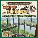 컴포즈커피김포전원 | 민간인 통제구역 안의 스벅?! 김포 애기봉 생태공원점 솔직 후기 및 필수 꿀팁 총정리