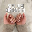 네일끌리리