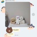 짱뽑기방 이미지
