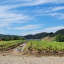 당포성 화장실 이미지