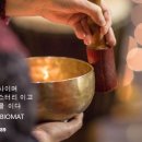 암 진단 후 10년, 병원 밖에서 암을 이겨낸 자기 치유 일지 이미지