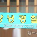 교통사고 죽은개 고양이 가져가면 점유물 이탈물 횡령죄. 교통사고후 그냥가면 교통방해죄 참 별놈의 죄도 다 있다. 이미지