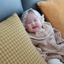 (주) 서진 이미지